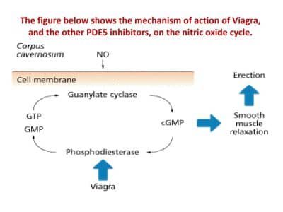 Treatment of Erectile Dysfunction